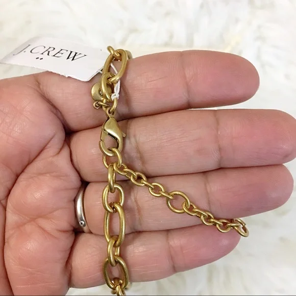 J. Crew Lucite Tortoise Link Necklace - Picture 5 of 5